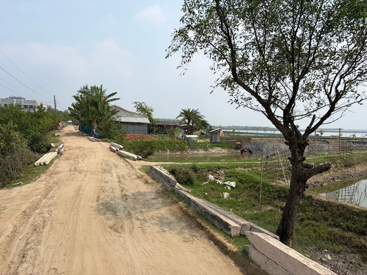 Shrimp or Rice? The Struggle Over Salinity in Coastal Bangladesh — image 1 of 3