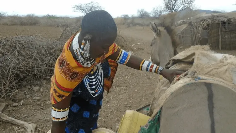 Climate change through the eyes of the Maasai