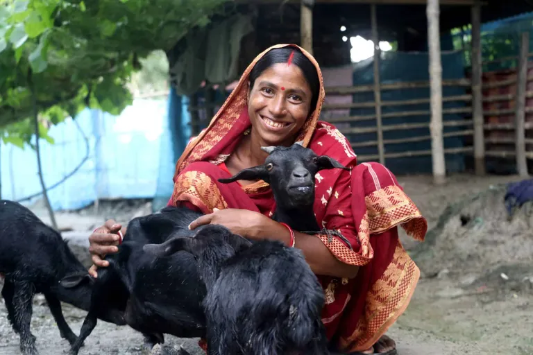 The Goat Economy and the Colonial Debt: A Tale of Feminised Survival from Bangladesh
