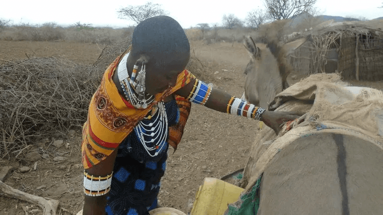 Climate change through the eyes of the Maasai